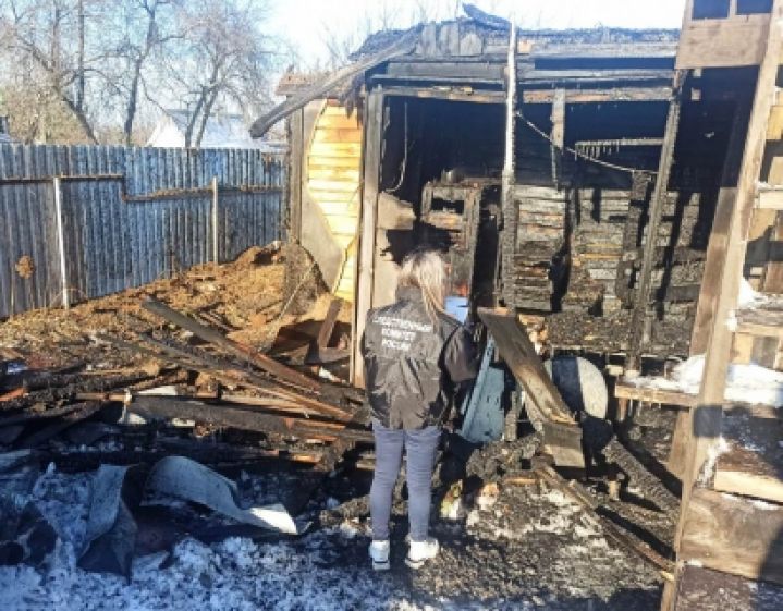 Двухлетний мальчик погиб при пожаре под Воронежем