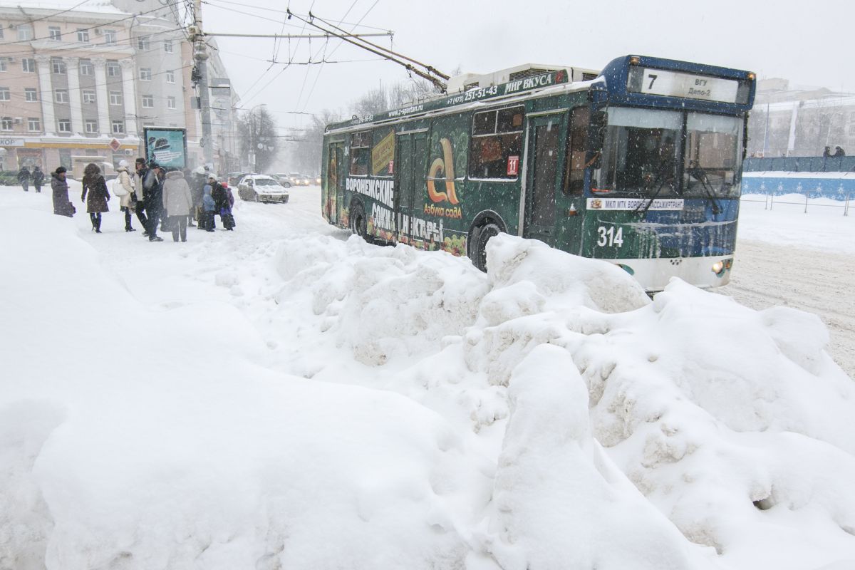 Зимний воронеж. Обломов воронеж зимой. Воронеж зима. Зимний город воронеж. Гисметео воронеж.