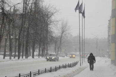 Первая неделя февраля в Воронеже будет ветреной и тёплой