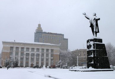 Беженцев из ДНР и ЛНР могут разместить в воронежских семьях