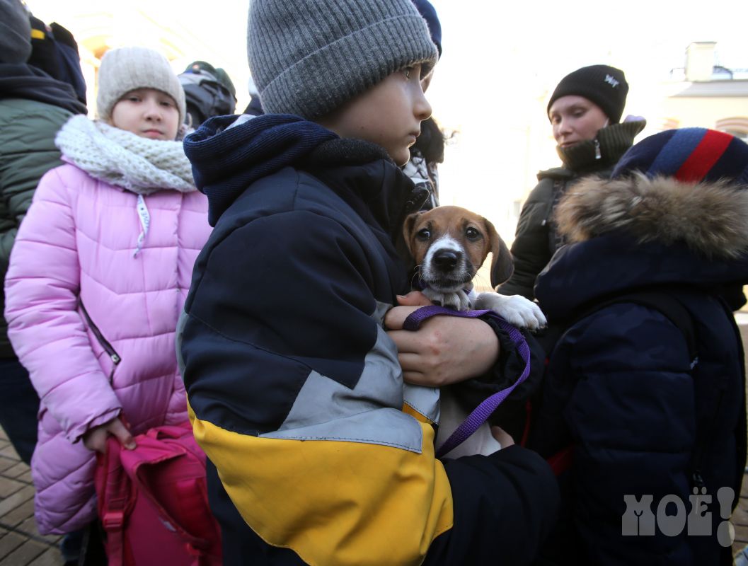 Дети из Донбасса придут на уроки в воронежские школы уже на этой неделе