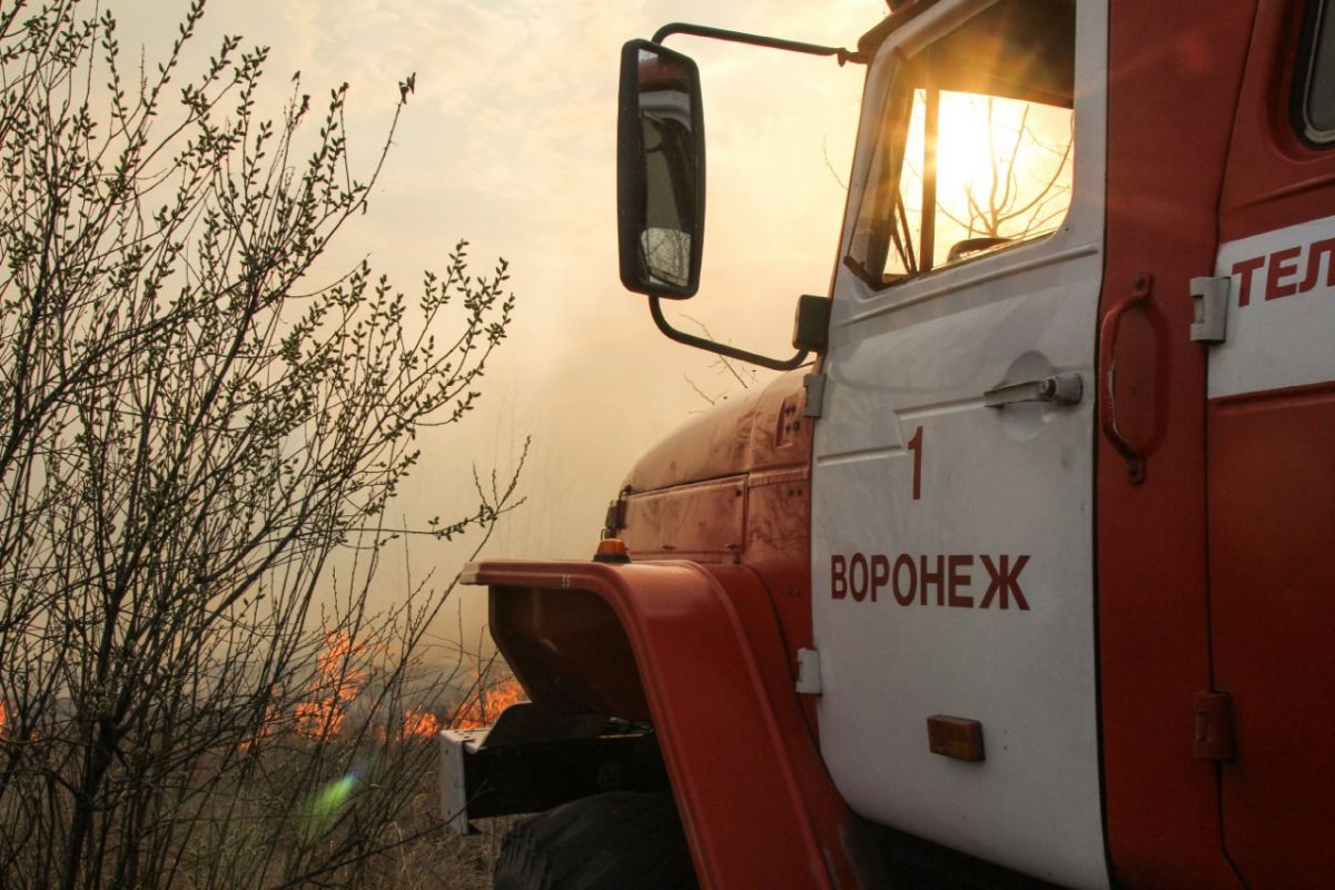 Инженер «Воронежэнерго» ответит в суде за масштабный пожар в Лискинском районе