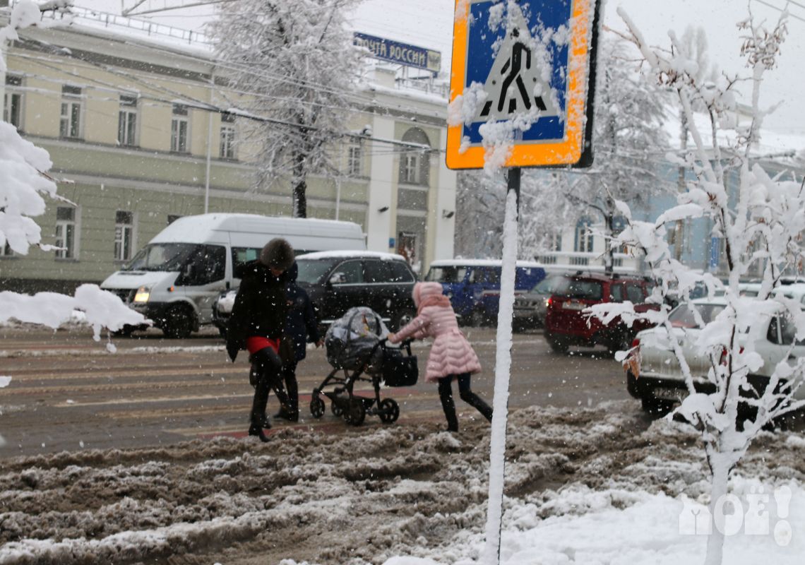 Метель надвигается на Воронежскую область