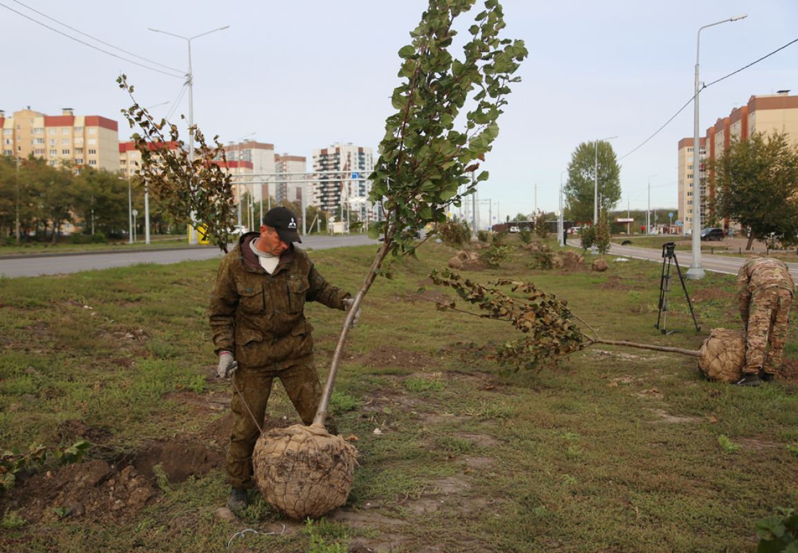Мэр: «Важно не только высаживать деревья, но и сохранять их»