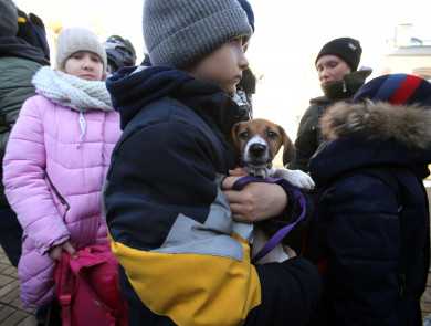 В Воронеж прибудут более 100 беженцев из разных регионов Украины