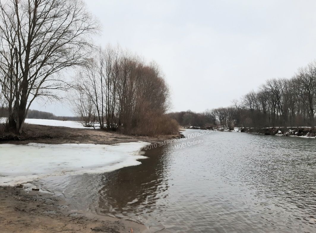 Фото весны в воронеже