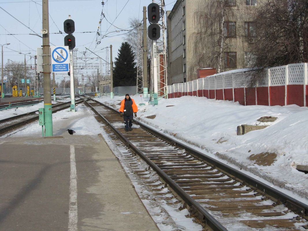 Воронежская область стала регионом с самой высокой смертностью на железных дорогах в Черноземье