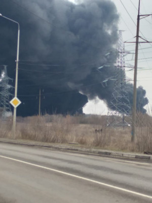 Фото: Светлана СОЛОДОВНИКОВА