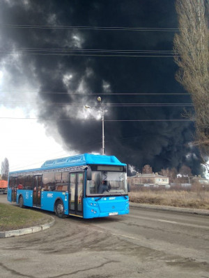 Фото: Светлана СОЛОДОВНИКОВА