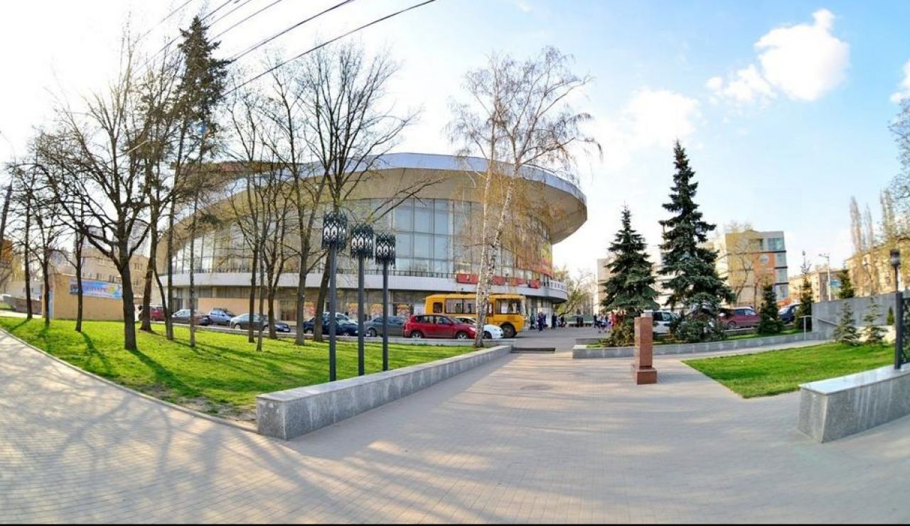 Комплексную реконструкцию Воронежского цирка завершат к 2024 году&nbsp;