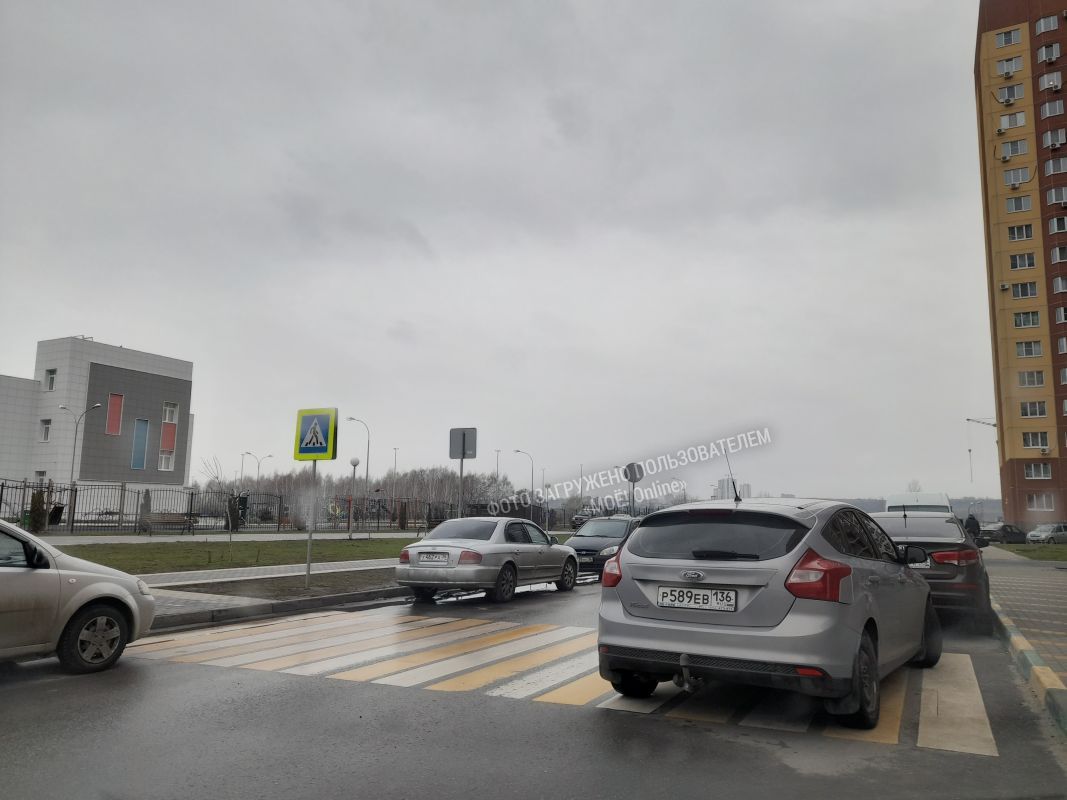 Воронежца возмутил водитель, паркующийся на пешеходном переходе возле школы