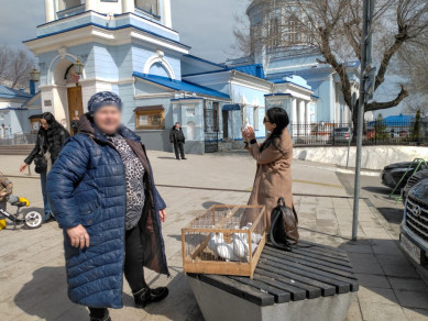 «Голубь за 400 рублей»: на Благовещение в Воронеже вышло рекордно мало торговцев птицами