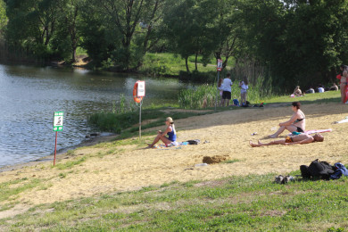 Девять пляжей устроят для воронежцев к лету