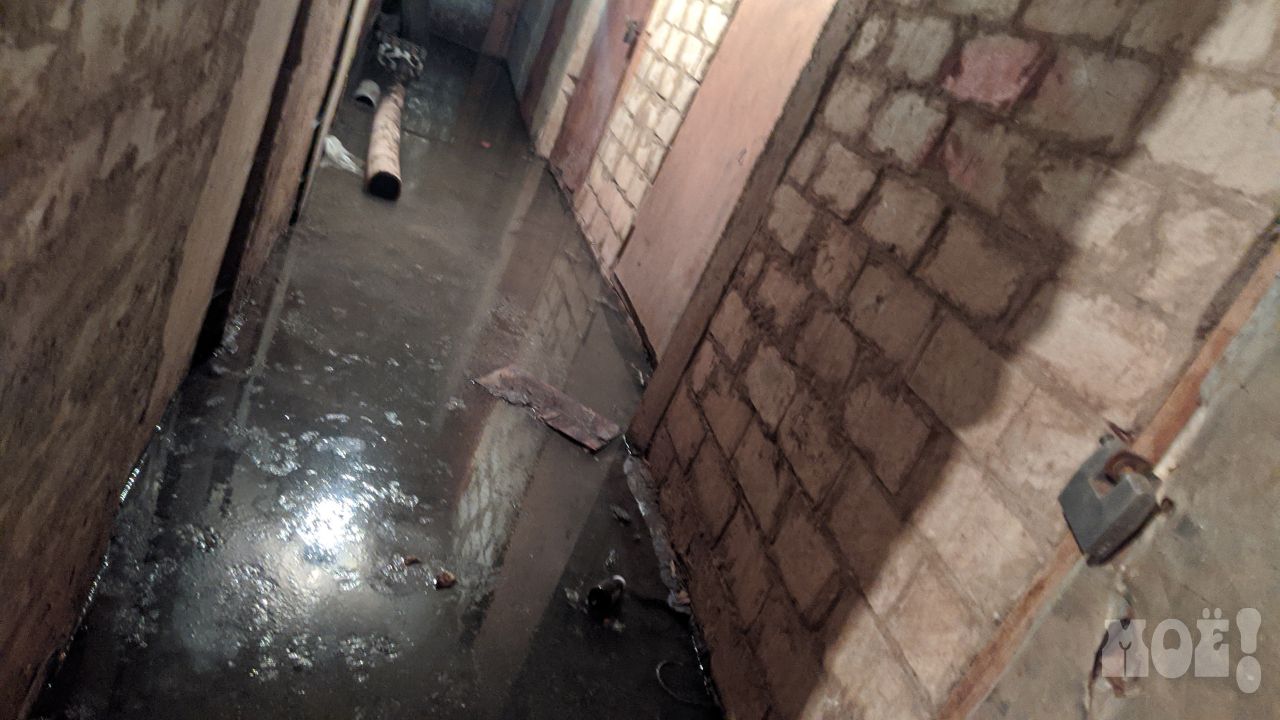 «Люди просто задыхаются в своих квартирах!»: воронежцы пожаловались на затопленный нечистотами подвал