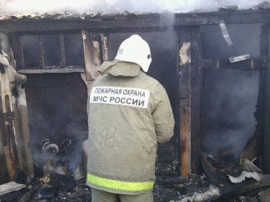 В Воронеже огонь уничтожил сарай: есть погибший