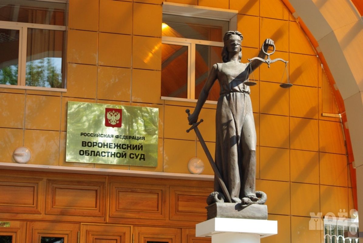 Председатель воронежского облсуда заработал за год более 5 миллионов рублей