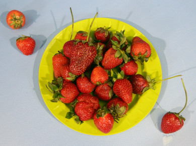 Где в Воронеже можно купить безопасную клубнику