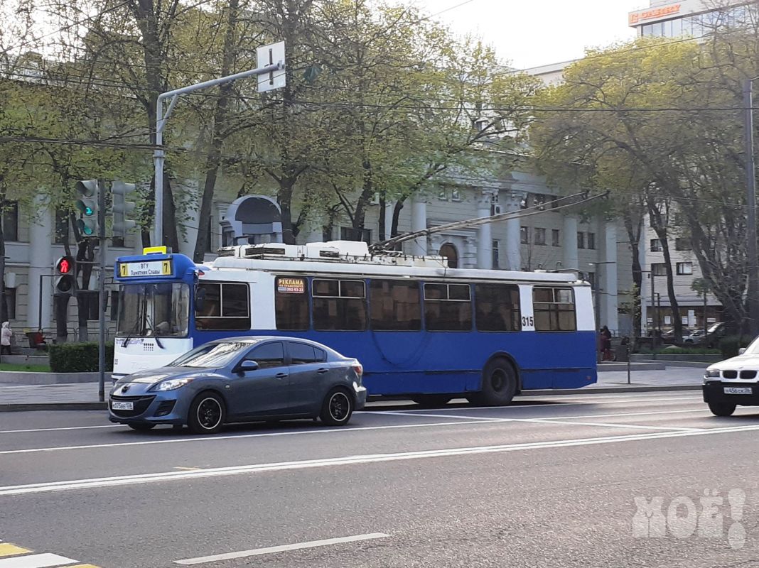 Стало известно, почему в Воронеже остановили работу двух троллейбусных маршрутов