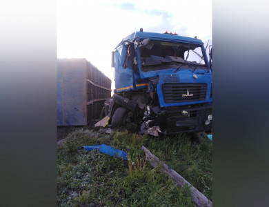 В Воронежской области тепловоз столкнулся с грузовиком: есть пострадавший