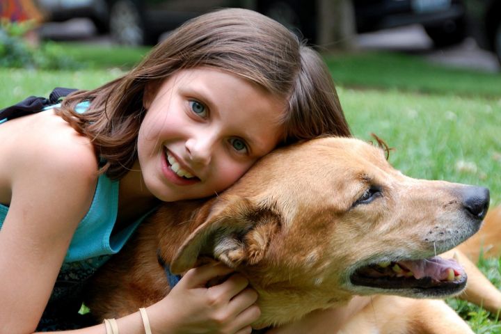 Дети и животные: комфортная и безопасная совместная жизнь 