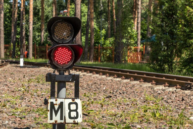Тепловоз проигнорировал светофор и врезался в грузовой поезд в Воронежской области