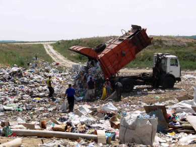 Прокуратура нашла семь незаконных свалок в Воронежской области
