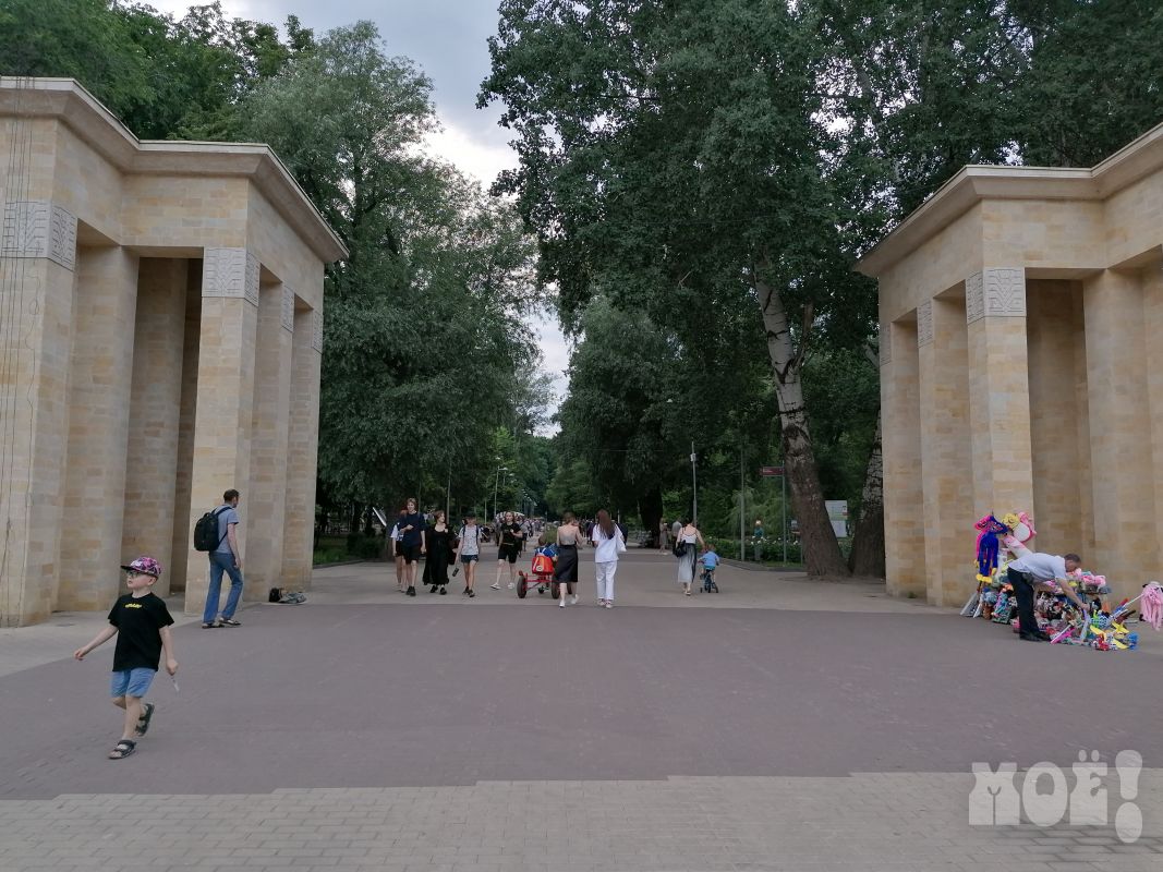Центральный парк — причина приехать в Воронеж № 44