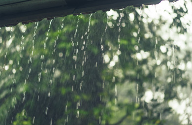 Прогноз погоды в Воронеже на среду, 22 июня