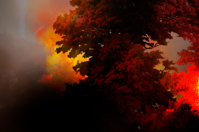 Воронежской области на этой неделе грозит 4-й класс пожарной опасности