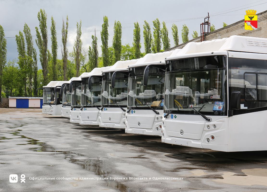Мэр Воронежа: новые автобусы улучшат транспортную доступность в Северном и Шилово