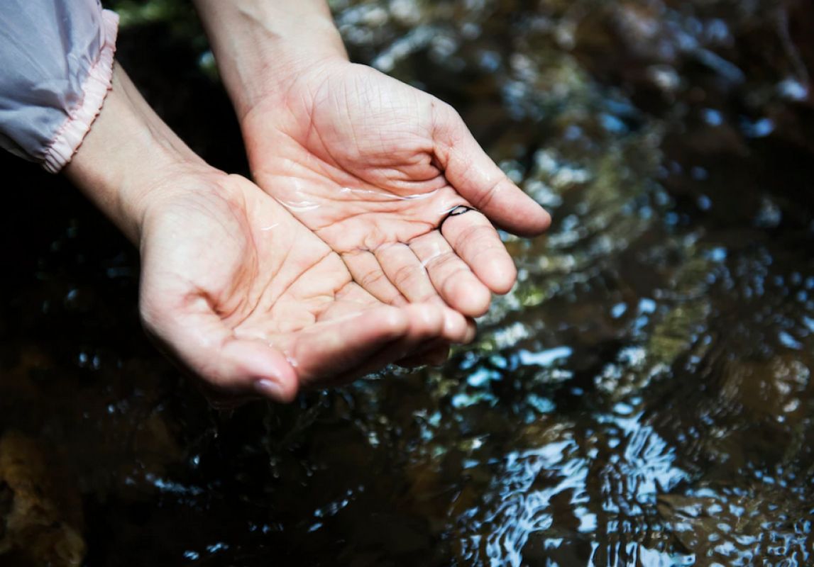 «Помогите нам вдоволь напиться воды!» Жители Эртиля возмущены ежегодными летними отключениями