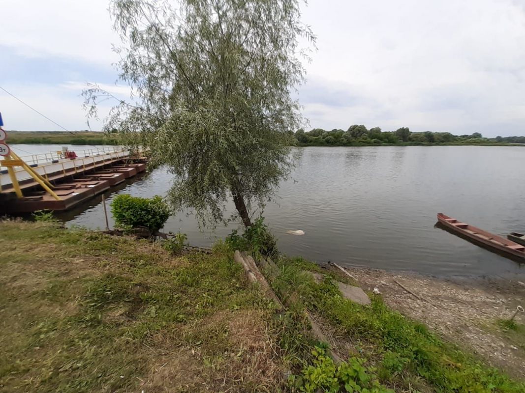 Тело молодого человека нашли в реке в Воронежской области