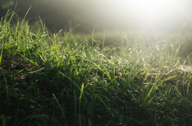 Прогноз погоды в Воронеже на вторник, 12 июля