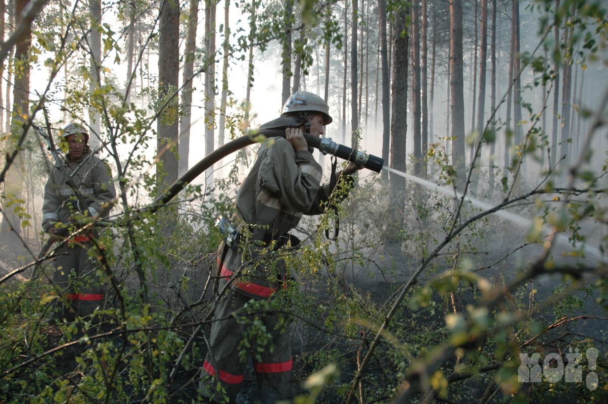 Пожарная опасность в Воронежской области снизилась до минимума