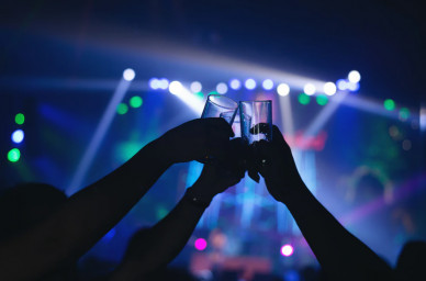 «Караоке, мат и пьяные визги». Воронежский микрорайон не спит из-за вечеринок в съёмном коттедже