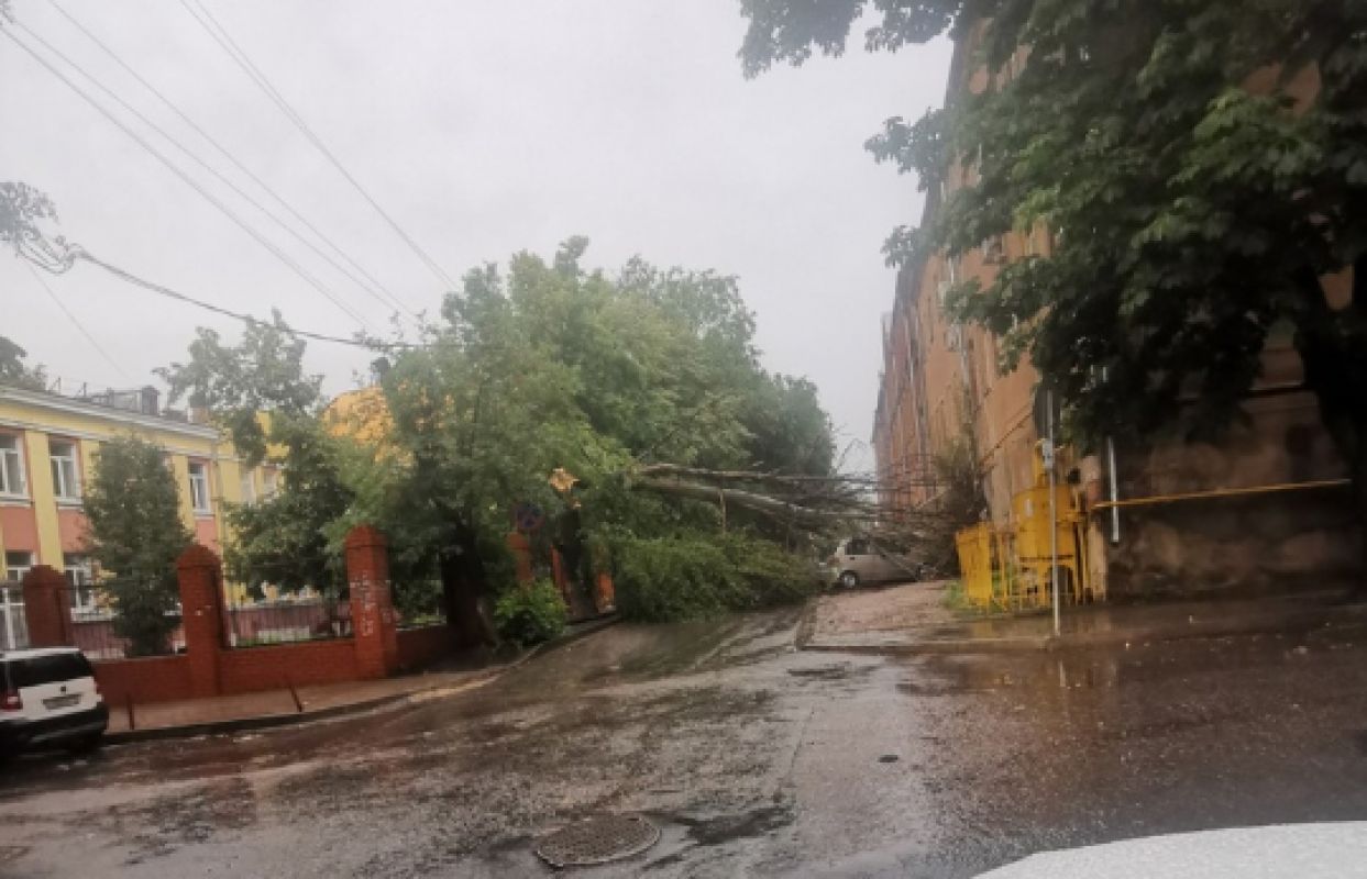 В Воронеже упавшее дерево пробило крышу припаркованной машины