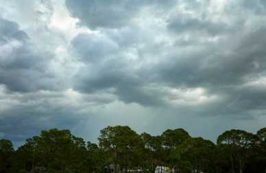 Прогноз погоды в Воронеже на вторник, 26 июля