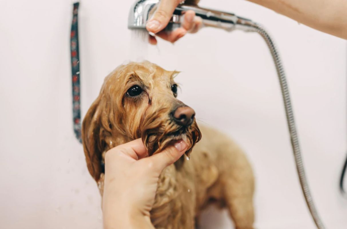 Воронежцам рассказали, как&nbsp;избежать переплат за&nbsp;воду в&nbsp;квартире