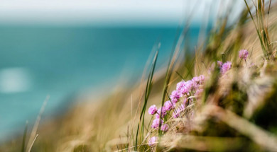 Прогноз погоды в Воронеже на воскресенье, 31 июля