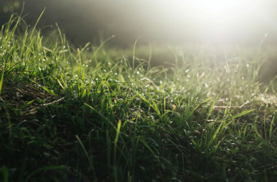 Прогноз погоды в Воронеже на среду, 3 августа