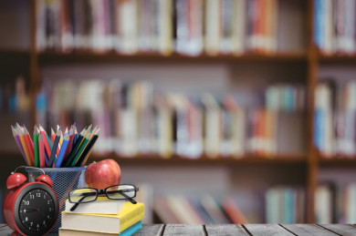 Школы в приграничных районах Белгородской области не откроются 1 сентября