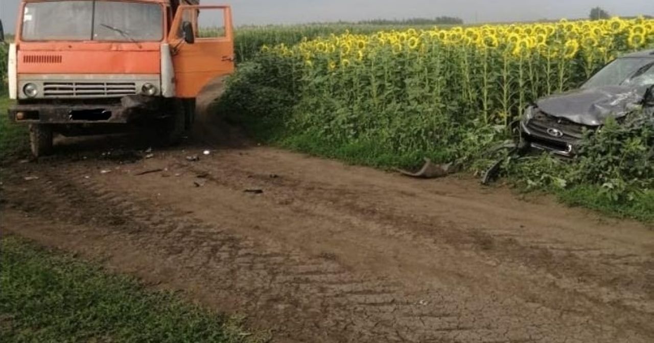 КамАЗ и&nbsp;легковушка столкнулись посреди поля в&nbsp;Воронежской области: есть пострадавший