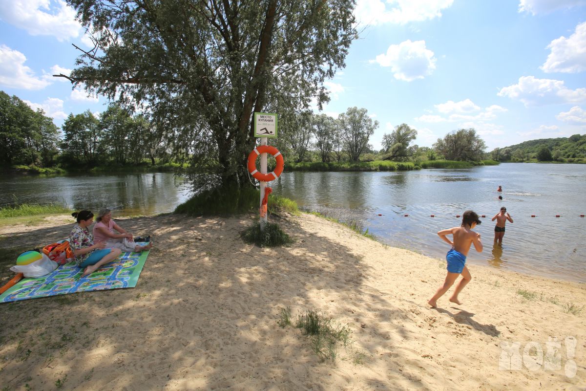 Два пляжа в Воронежской области попали в список непригодных для отдыха