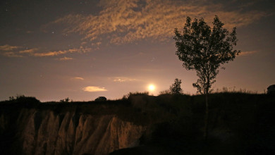 Бесплатный фестиваль короткометражек пройдёт в Белом колодце