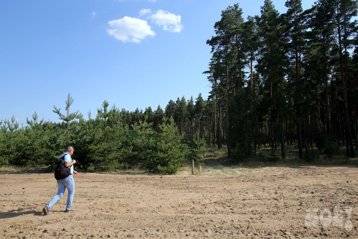 Леса в Воронежской области запретят посещать до конца лета