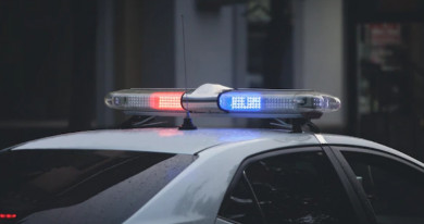 Жительница Воронежской области напала на трёх полицейских, пришедших к ней с проверкой