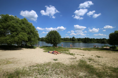 Холероподобный вибрион нашли на 17 воронежских пляжах