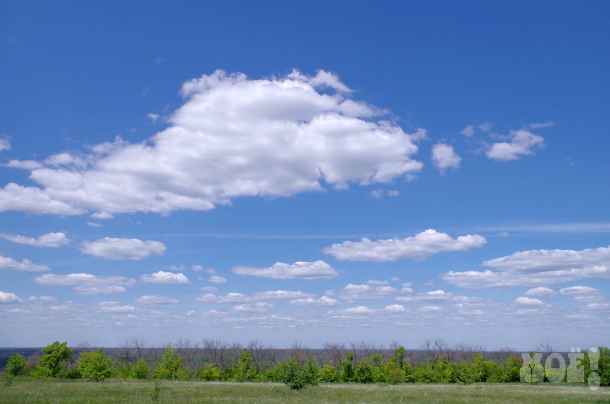 Синоптики рассказали, какой будет погода в Воронеже на выходных
