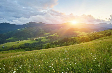 Прогноз погоды в Воронеже на среду, 17 августа