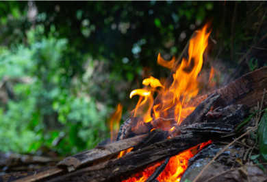 Пожарная опасность в Воронежской области увеличилась до 5-го класса